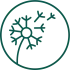 ProviosDivorceSolutions_Submark_evergreen_web